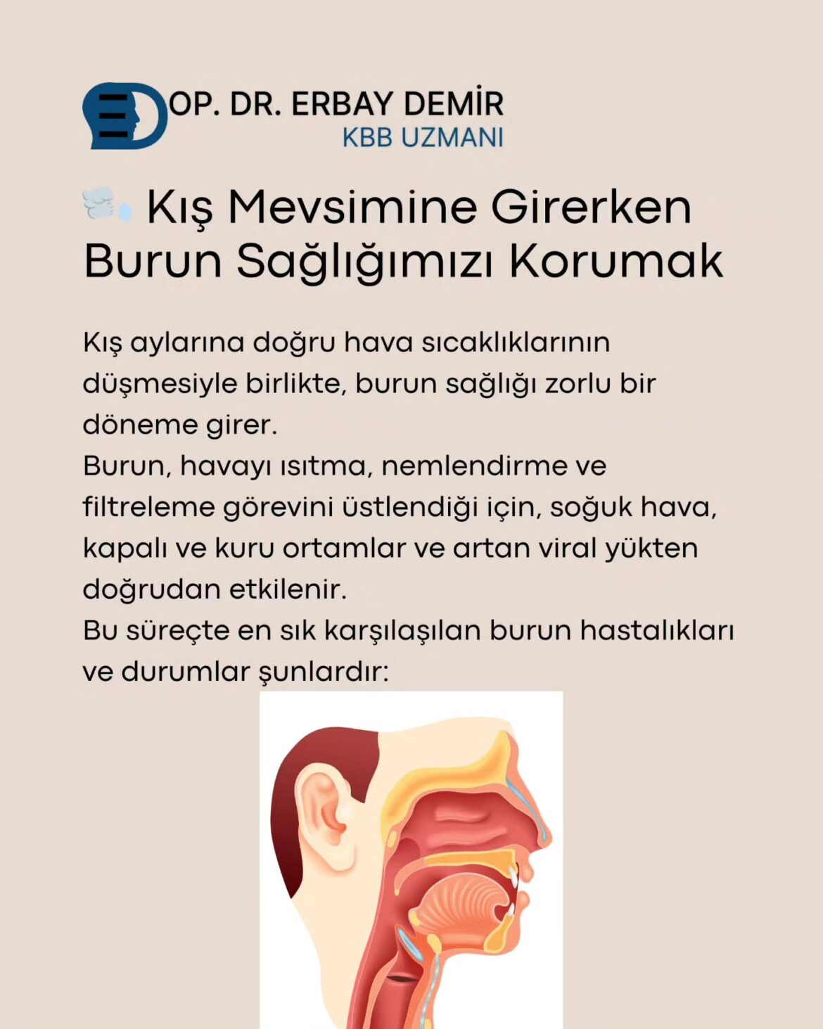 burun sağlığı