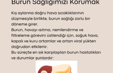 burun sağlığı
